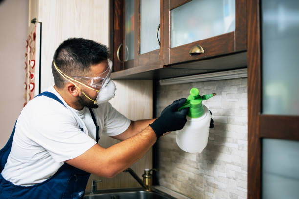 Best Wasp Removal Services  in Landover, MD