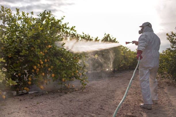 Best Pest Control Near Me  in Landover, MD