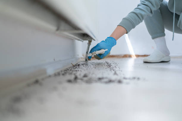 Pest Control for Restaurants in Landover, MD