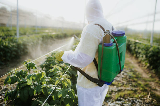 Best Best Pest Control Companies  in Landover, MD